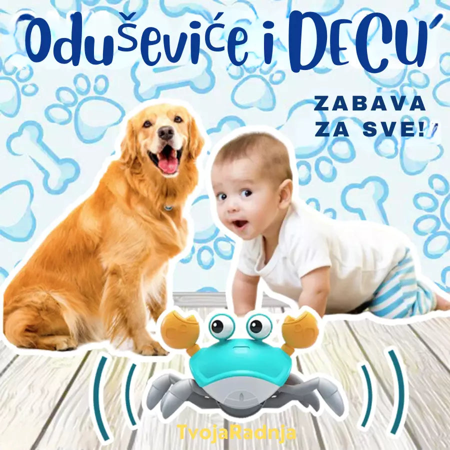 Kraba Šetač - interaktivna igračka za pse